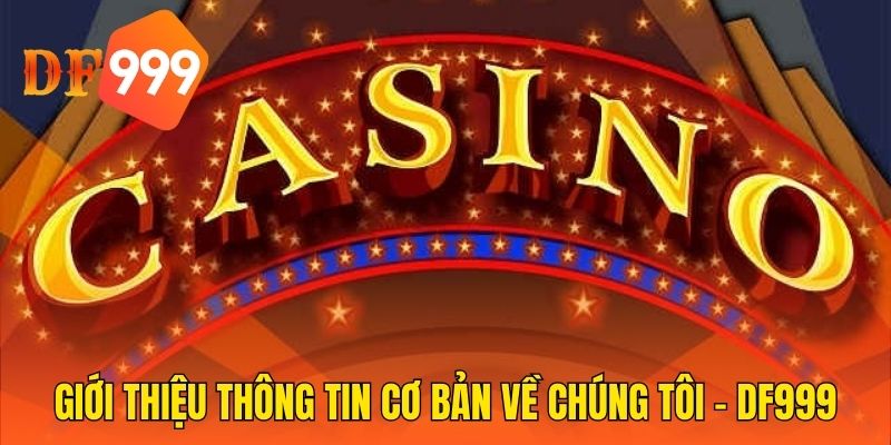 Giới thiệu thông tin cơ bản về chúng tôi - DF999